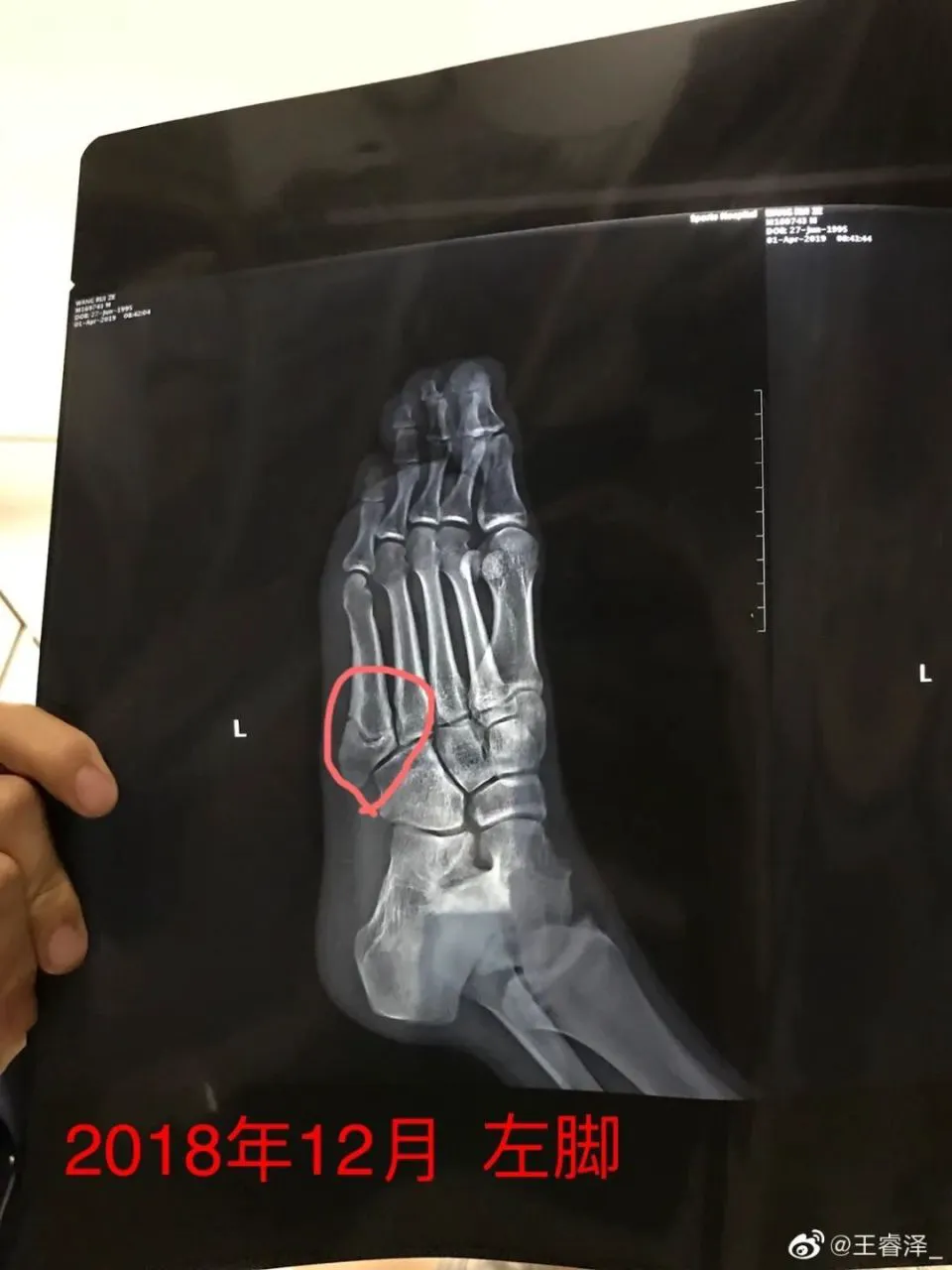 哪里有适合初学者的篮球训练管理指南_1