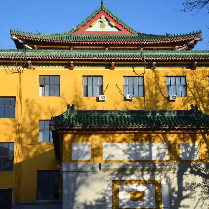 如何从篮球传说的故事中获得训练灵感_1